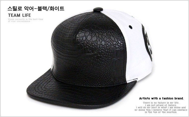 teamlife cap